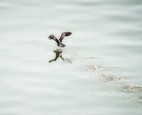 Platz-6_Der-Tanz-auf-dem-Wasser_Kerstin-Strutz