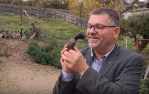 Tatort Gemeinde Enten-Sheriff