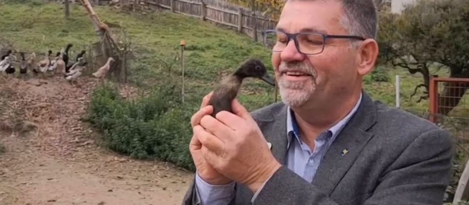 Tatort Gemeinde Enten-Sheriff